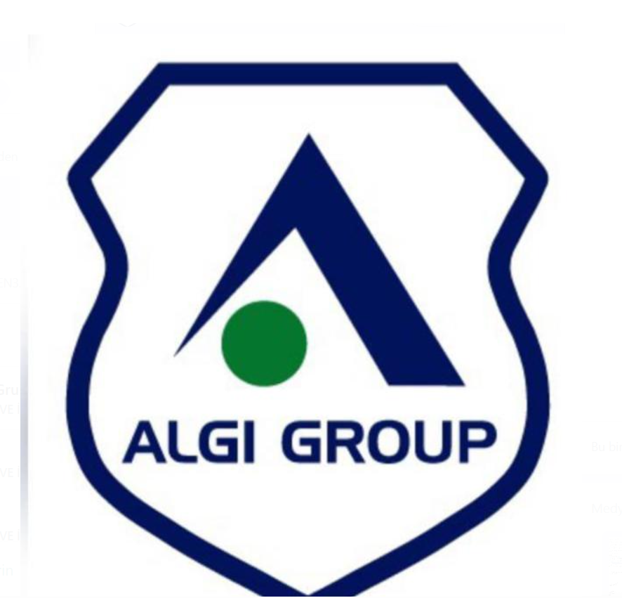 ALGI GROUP